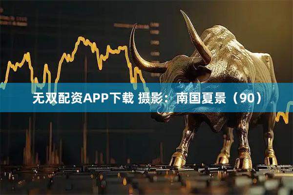无双配资APP下载 摄影：南国夏景（90）