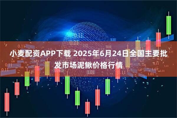 小麦配资APP下载 2025年6月24日全国主要批发市场泥鳅价格行情
