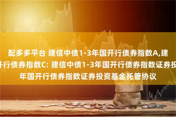 配多多平台 建信中债1-3年国开行债券指数A,建信中债1-3年国开行债券指数C: 建信中债1-3年国开行债券指数证券投资基金托管协议