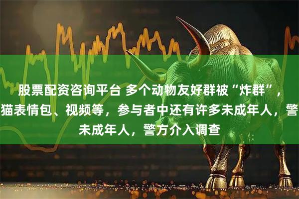 股票配资咨询平台 多个动物友好群被“炸群”，传播血腥虐猫表情包、视频等，参与者中还有许多未成年人，警方介入调查