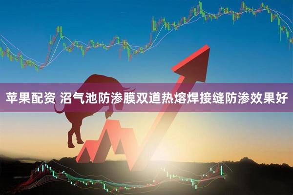 苹果配资 沼气池防渗膜双道热熔焊接缝防渗效果好